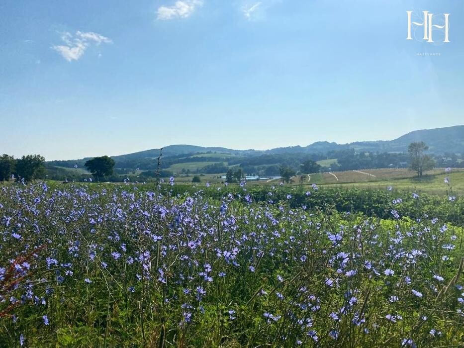 Images HazelHuts LLC