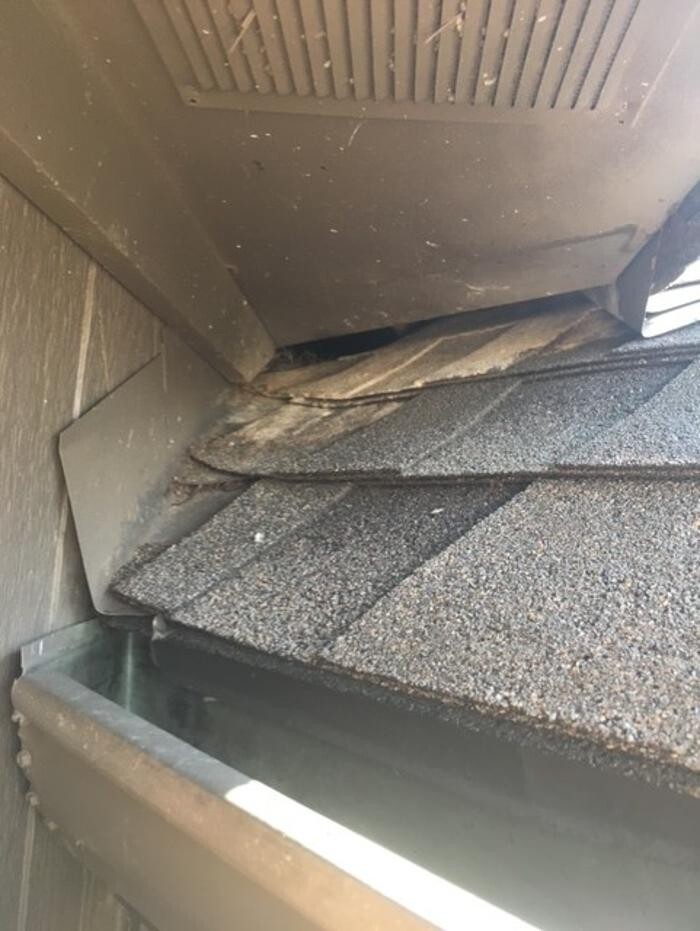 Images Trutech Wildlife Service