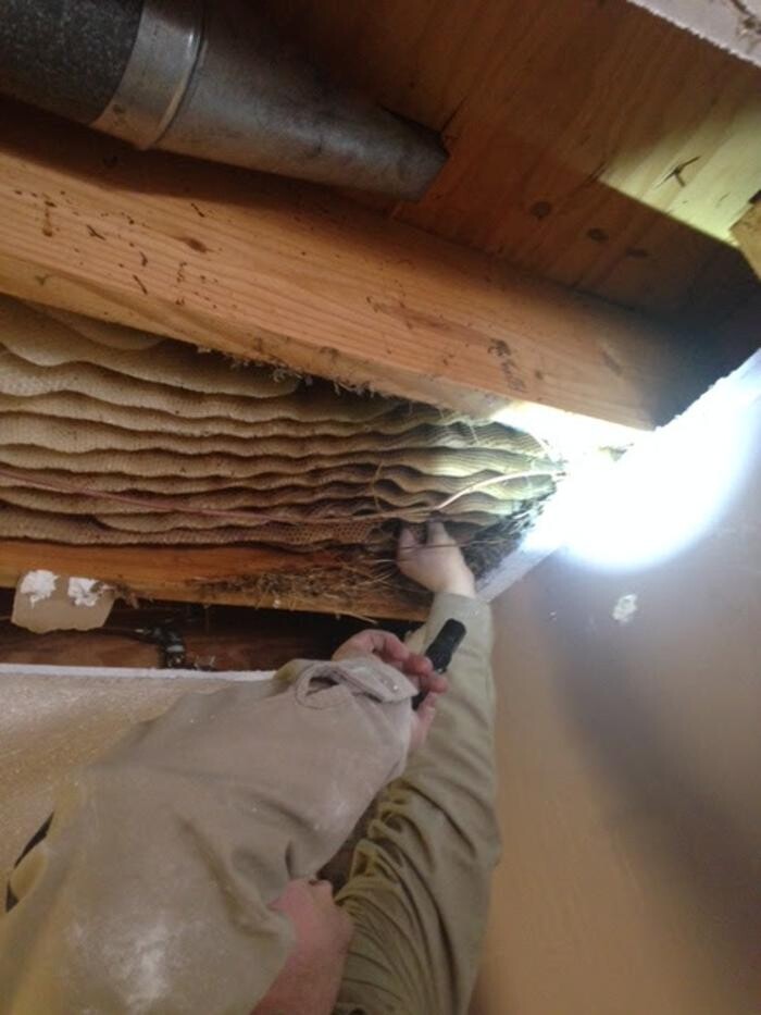 Images Trutech Wildlife Service