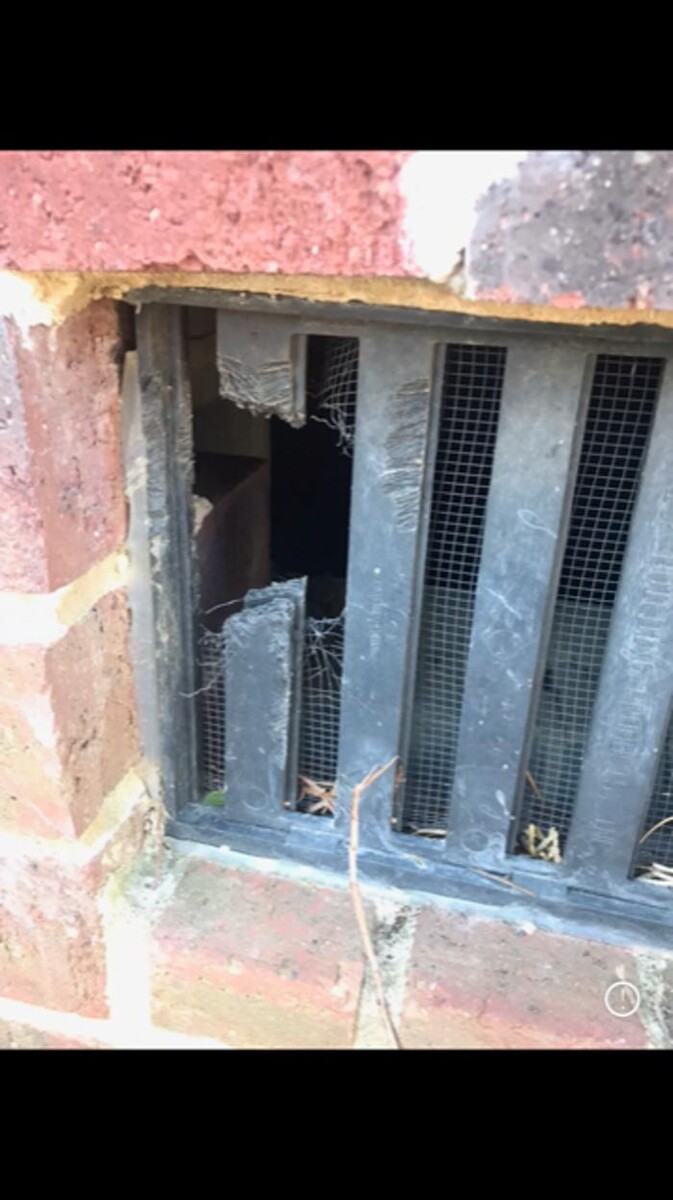 Images Trutech Wildlife Service