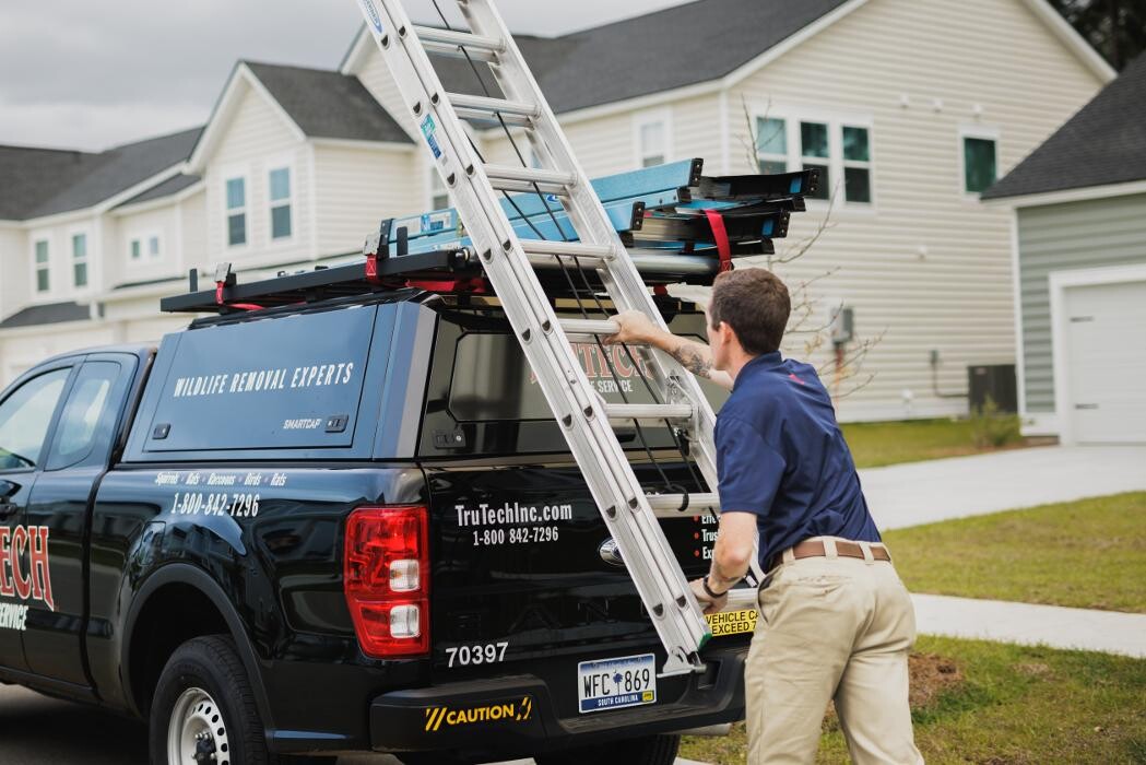 Images Trutech Wildlife Service