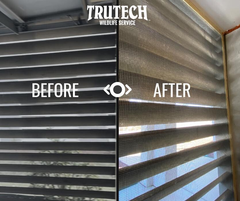 Images Trutech Wildlife Service