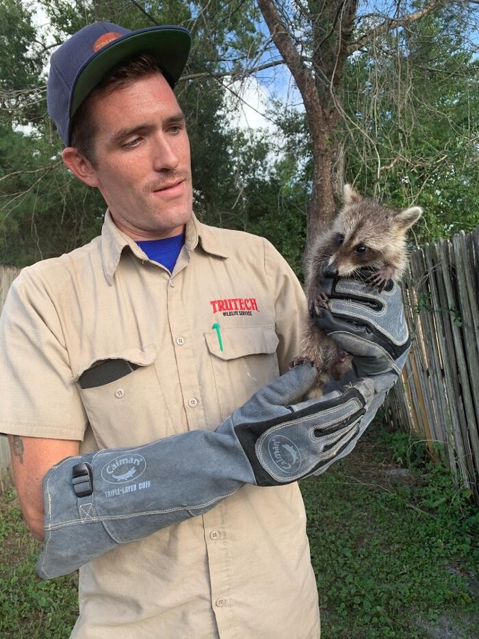 Images Trutech Wildlife Service