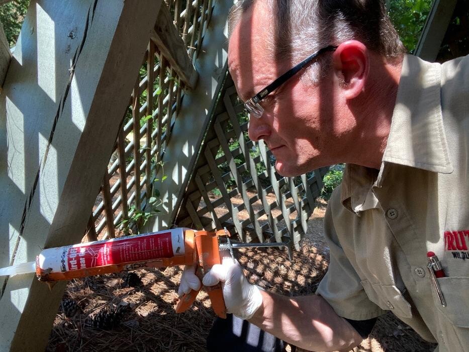 Images Trutech Wildlife Service