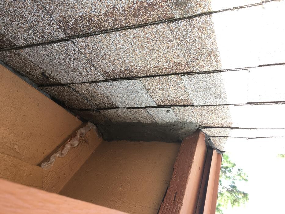 Images Trutech Wildlife Service