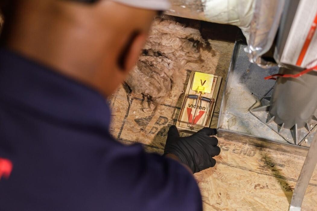 Images Trutech Wildlife Service