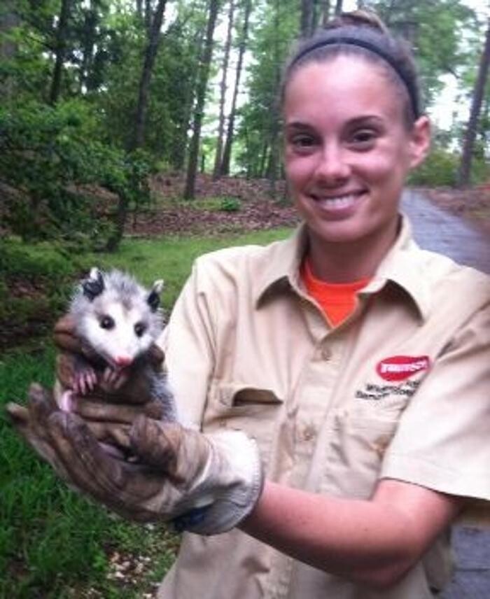 Images Trutech Wildlife Service