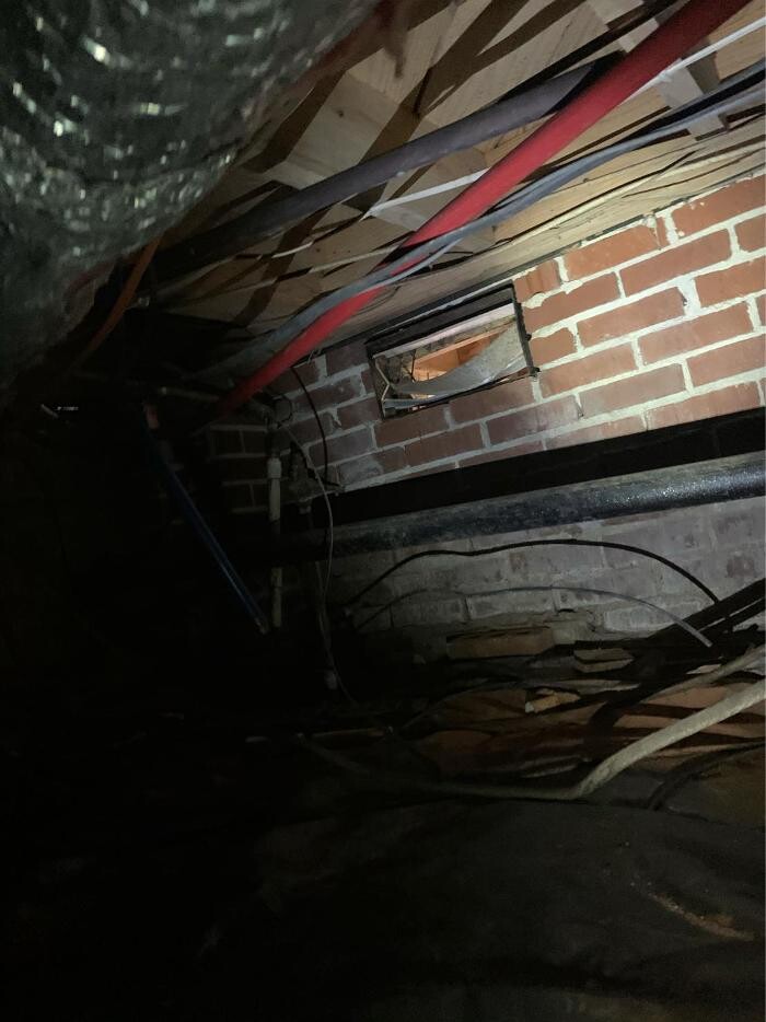 Images Trutech Wildlife Service