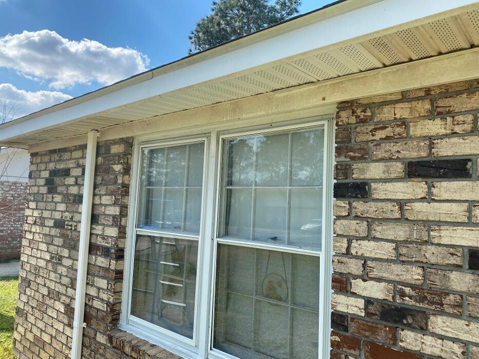 Images Trutech Wildlife Service