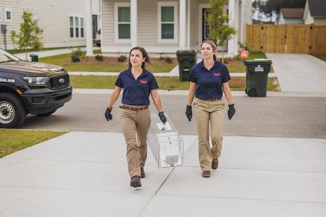 Images Trutech Wildlife Service