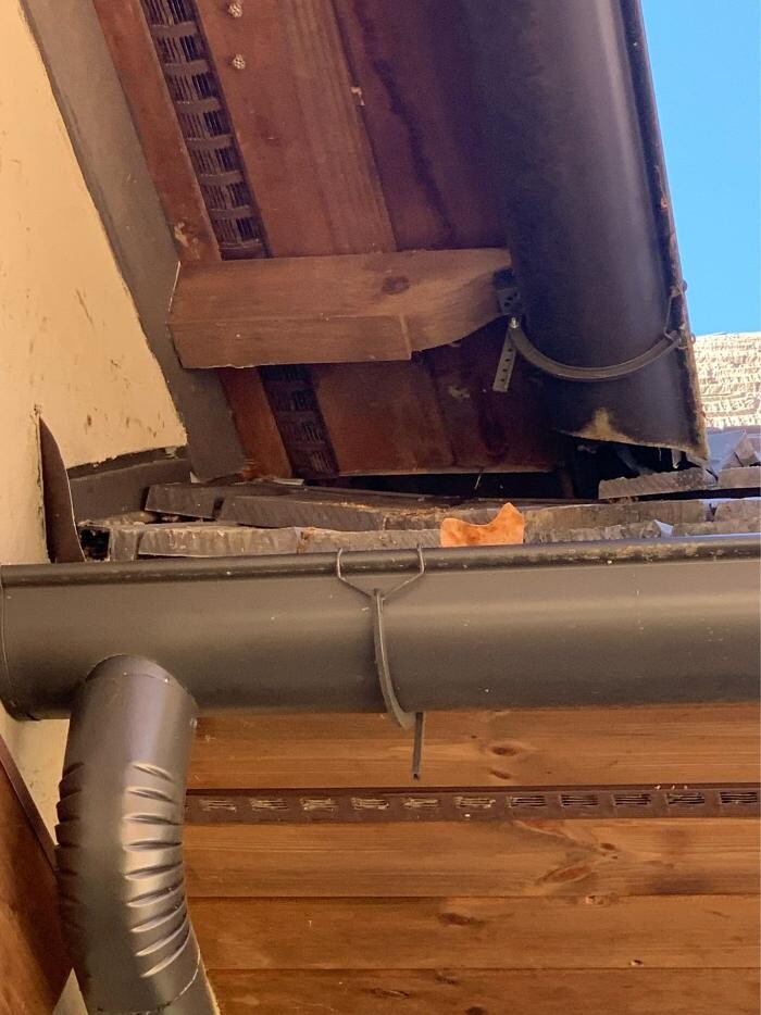 Images Trutech Wildlife Service