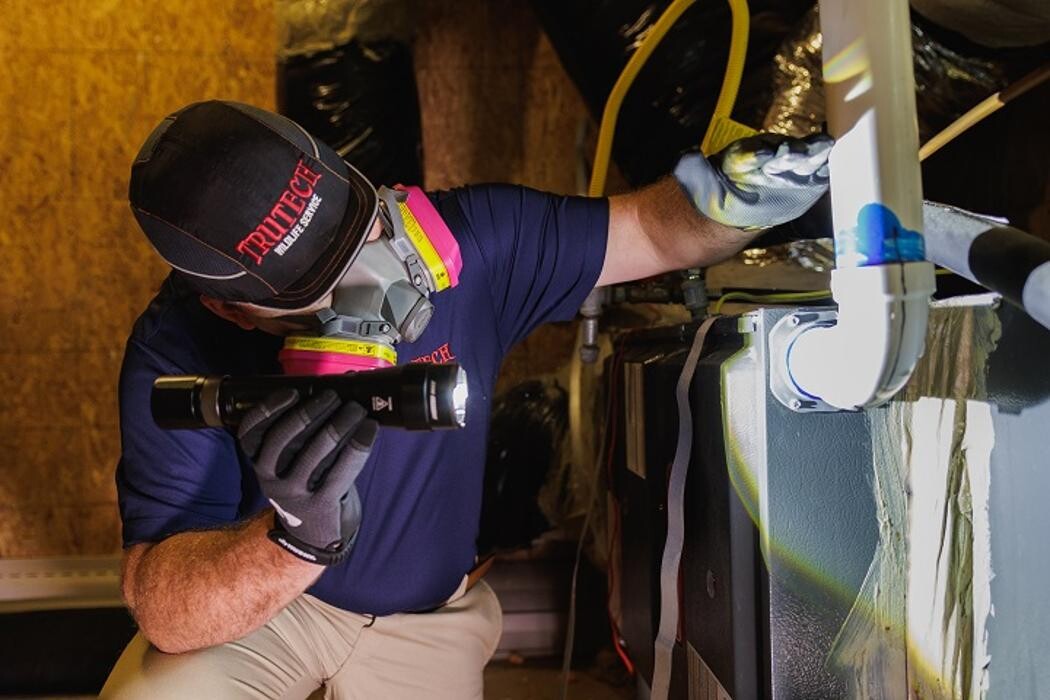 Images Trutech Wildlife Service