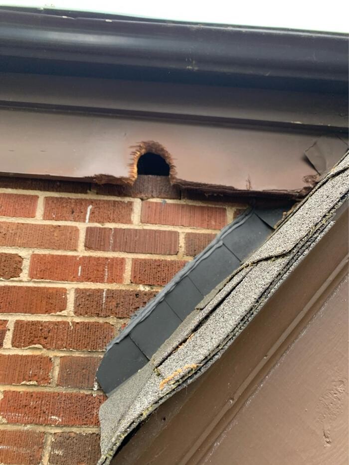 Images Trutech Wildlife Service