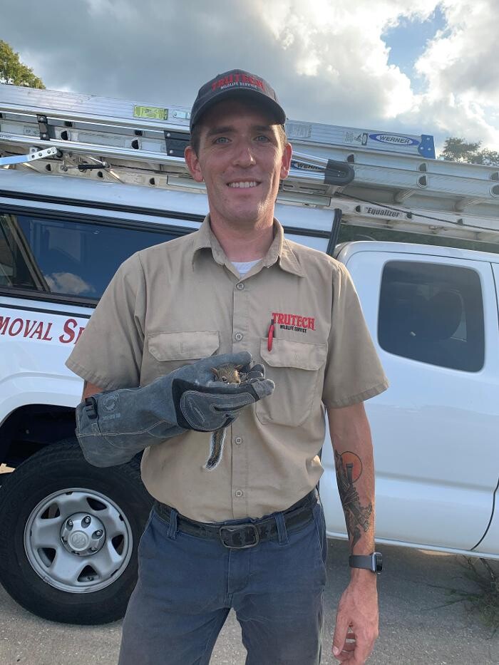 Images Trutech Wildlife Service