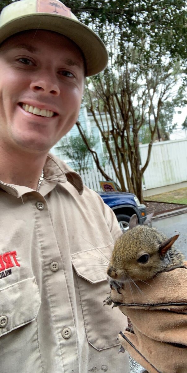 Images Trutech Wildlife Service