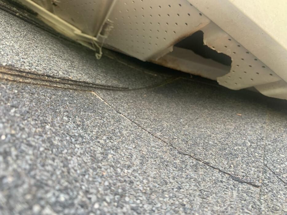 Images Trutech Wildlife Service