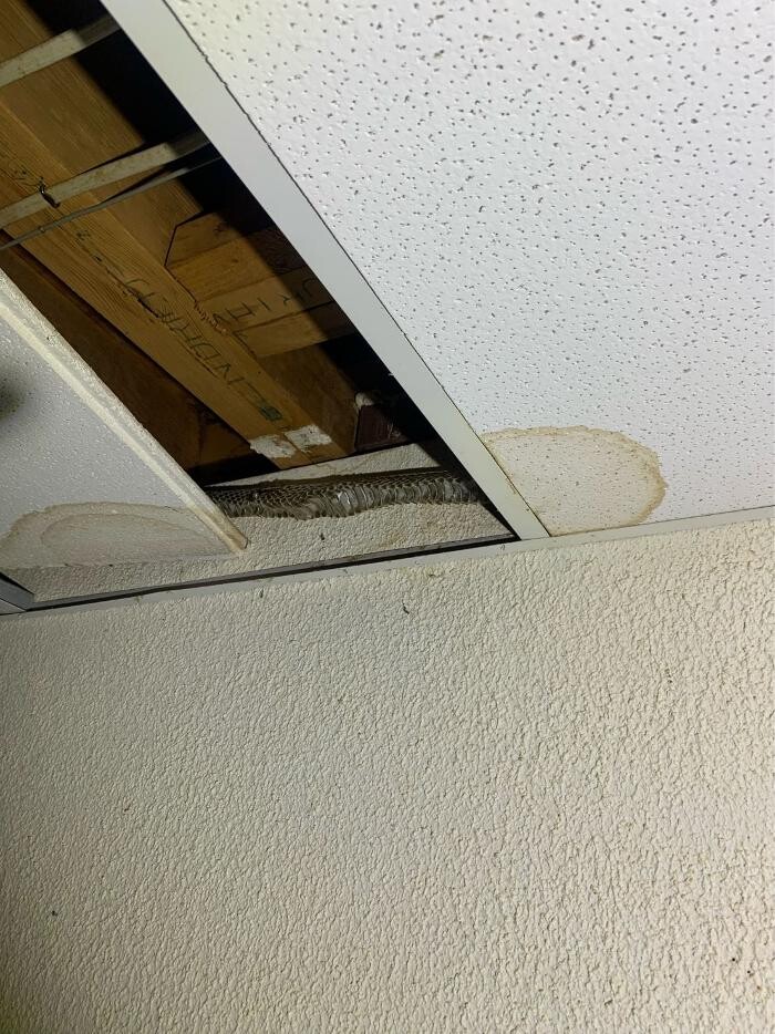 Images Trutech Wildlife Service