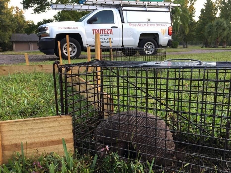 Images Trutech Wildlife Service
