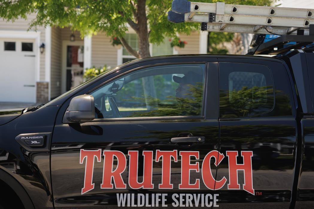 Images Trutech Wildlife Service
