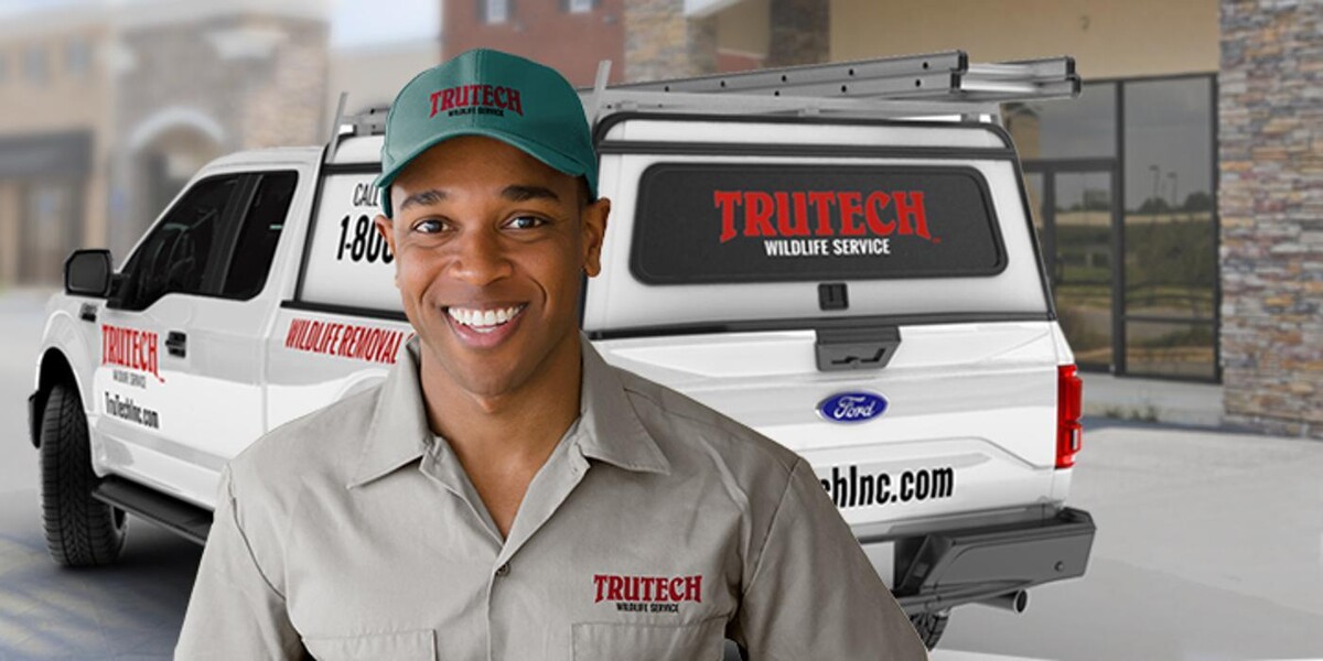 Images Trutech Wildlife Service