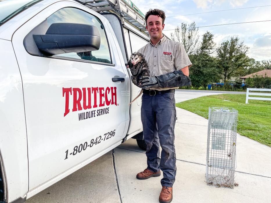 Images Trutech Wildlife Service