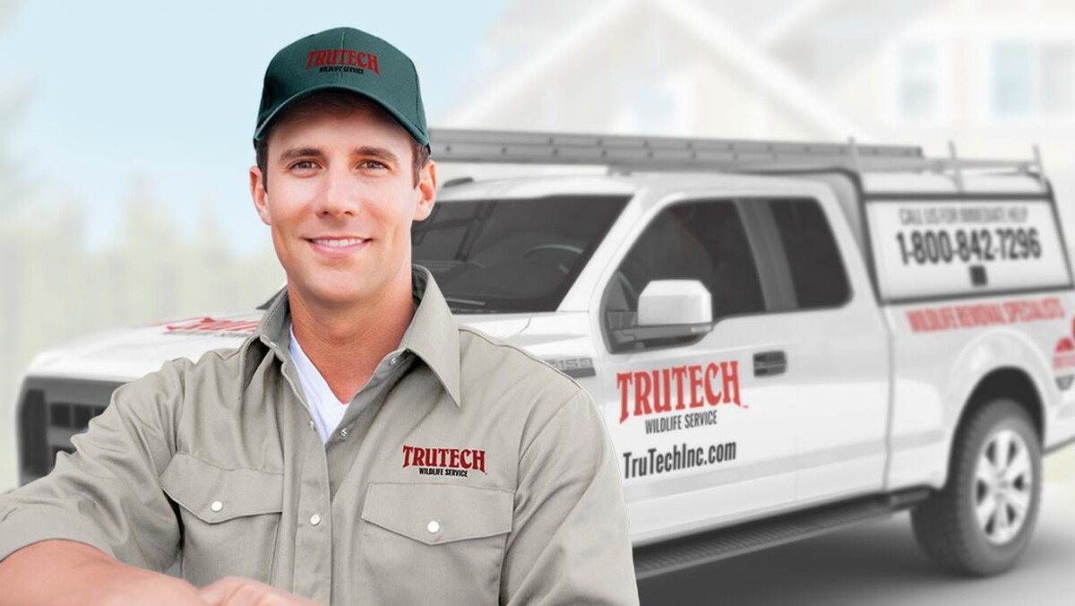 Images Trutech Wildlife Service