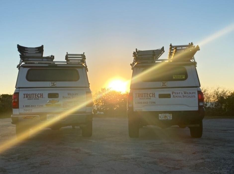 Images Trutech Wildlife Service