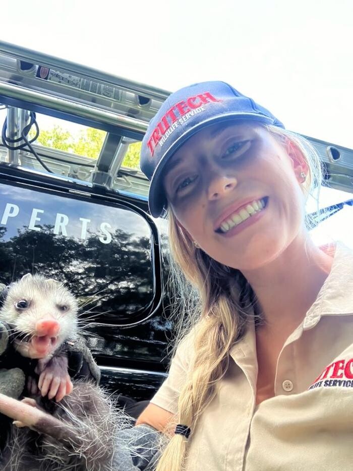 Images Trutech Wildlife Service