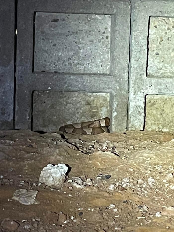 Images Trutech Wildlife Service