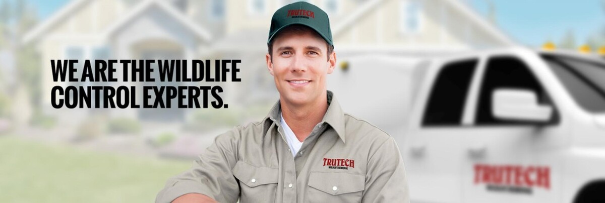 Images Trutech Wildlife Service