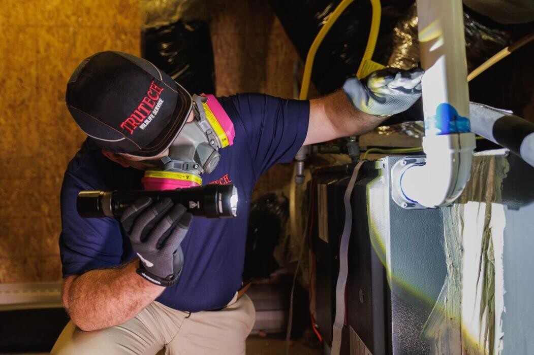 Images Trutech Wildlife Service