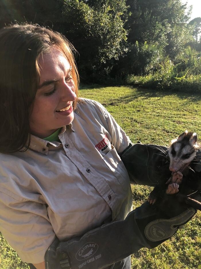 Images Trutech Wildlife Service