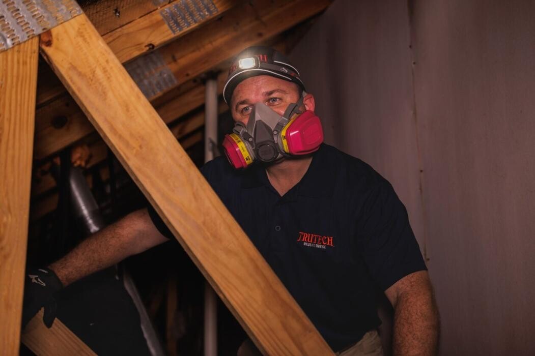 Images Trutech Wildlife Service