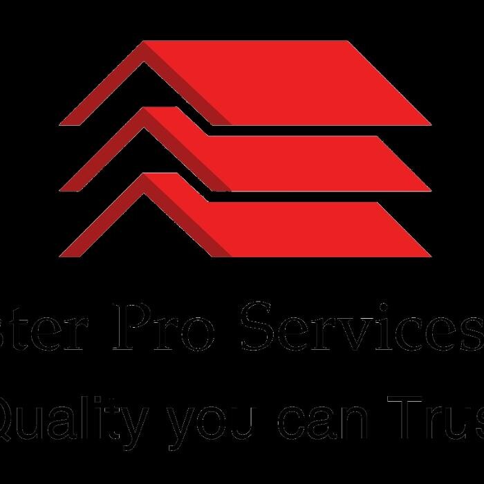 Master Pro Services Logo
