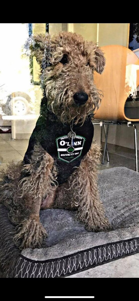 Images O'Linn Security Inc