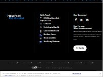 Website Screenshot BluePearl Pet Hospital