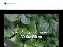 Website Screenshot Wild At Heart Nursery