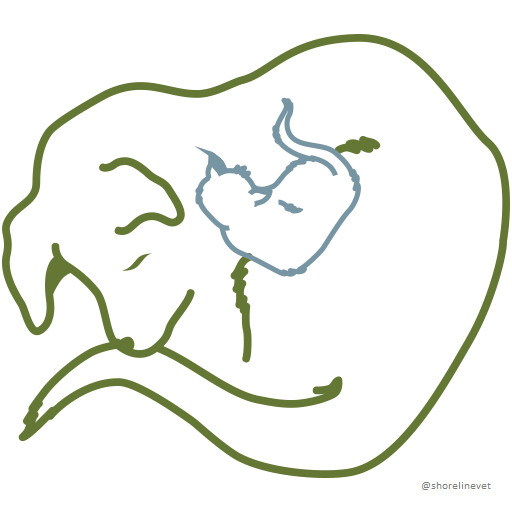Shoreline Veterinary Hospital Logo