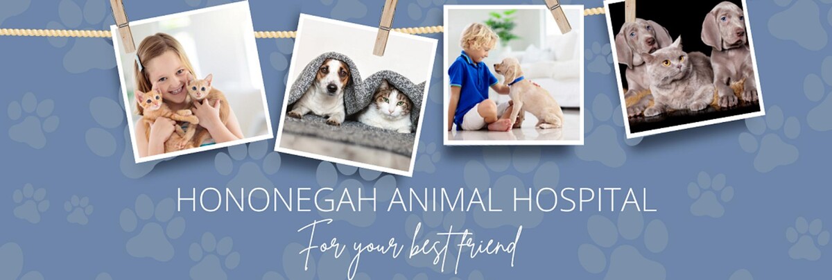 Images Hononegah Animal Hospital