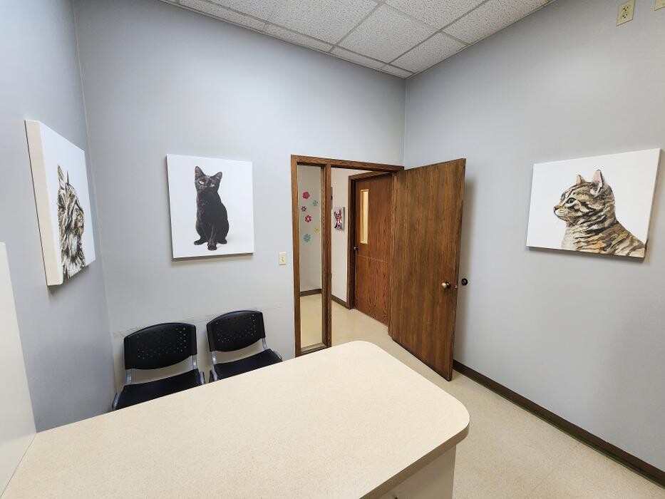 Images Hononegah Animal Hospital