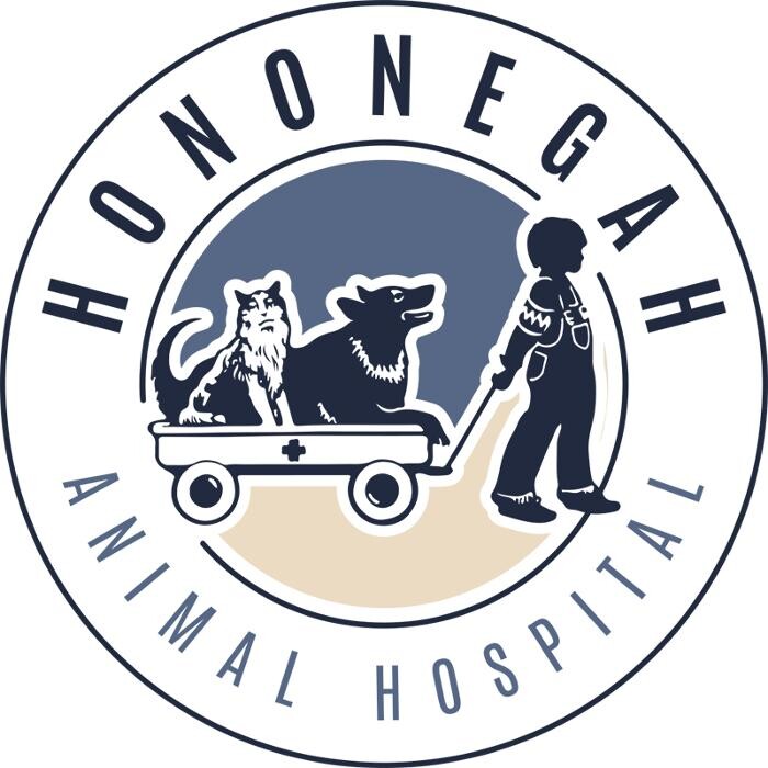 Images Hononegah Animal Hospital