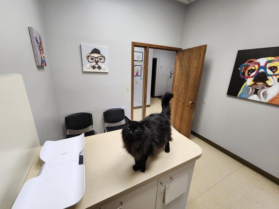 Images Hononegah Animal Hospital