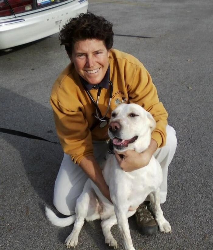 Images Clayton Animal Hospital