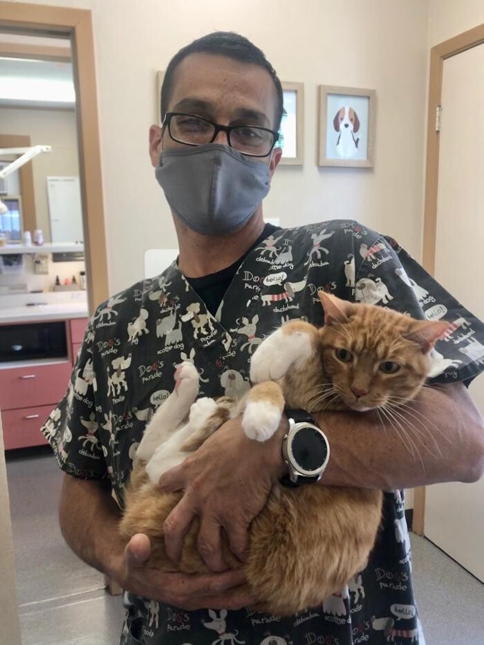 Images Highland's Pet Medical Clinic