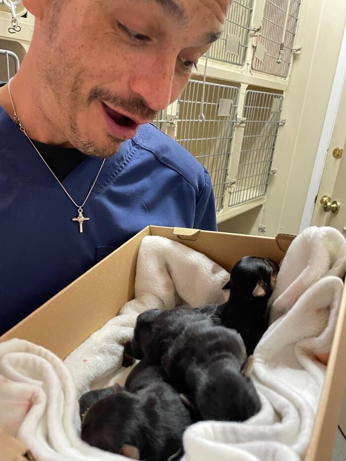 Images Highland's Pet Medical Clinic