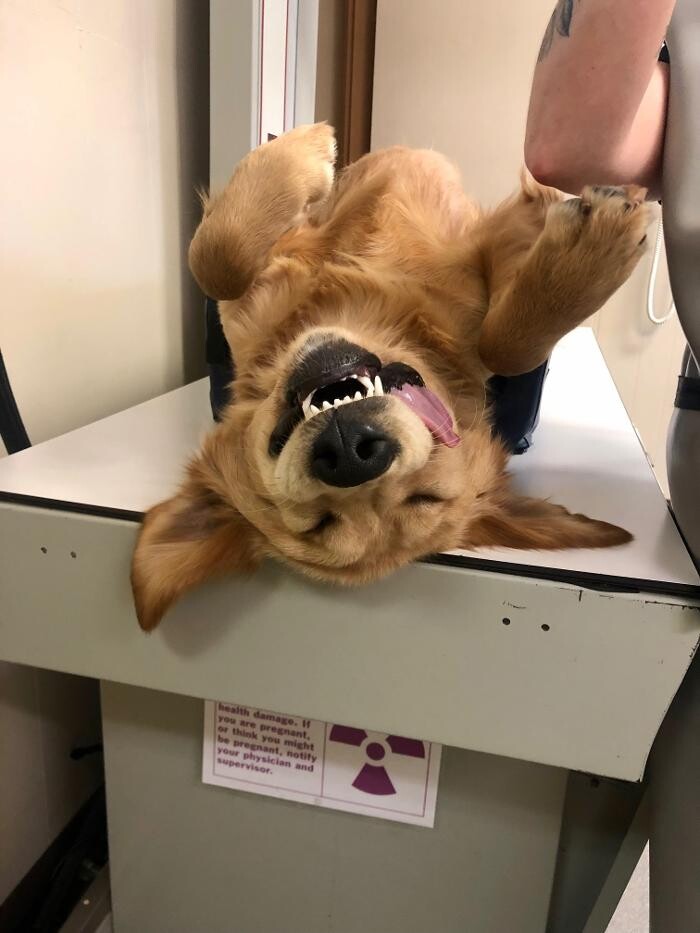 Images Highland's Pet Medical Clinic