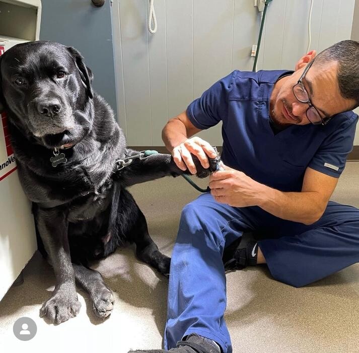 Images Highland's Pet Medical Clinic
