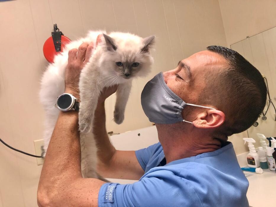Images Highland's Pet Medical Clinic