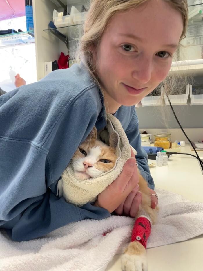 Images Highland's Pet Medical Clinic