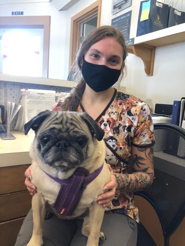Images Highland's Pet Medical Clinic